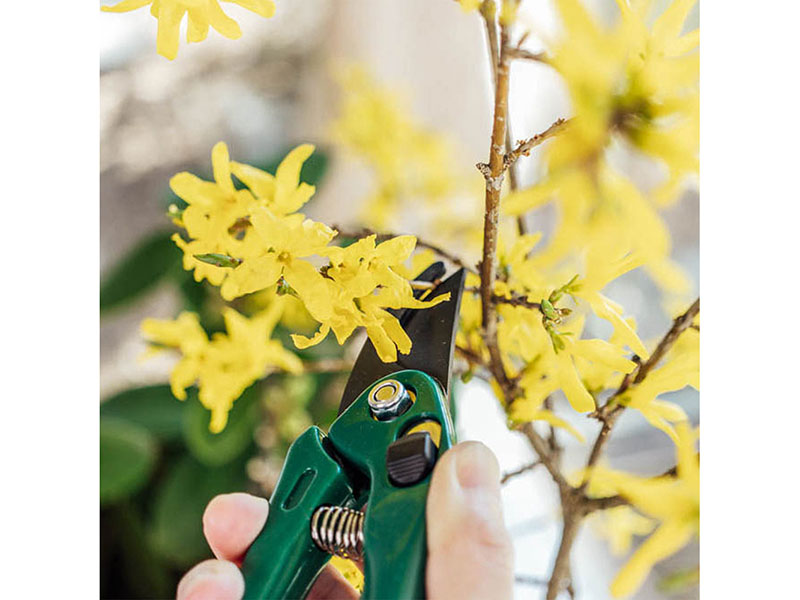 Kéo Cắt Tỉa Cành Cây Chuyên Dụng Echo Metal Tiện Ích, Gọn Nhẹ