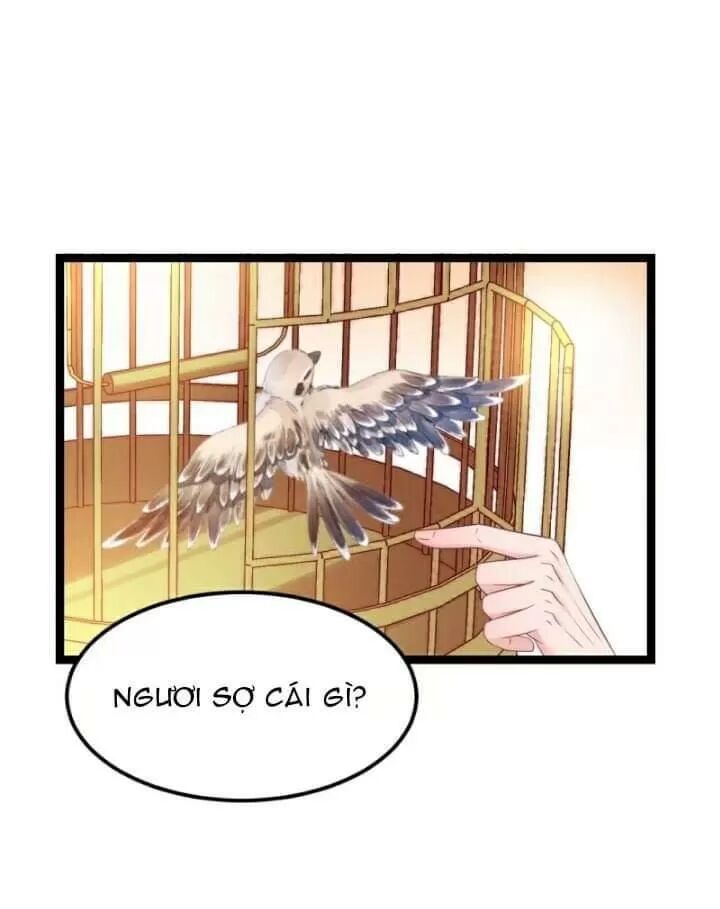 ta mới không gả cho hoàng tử phản diện chapter 11 7