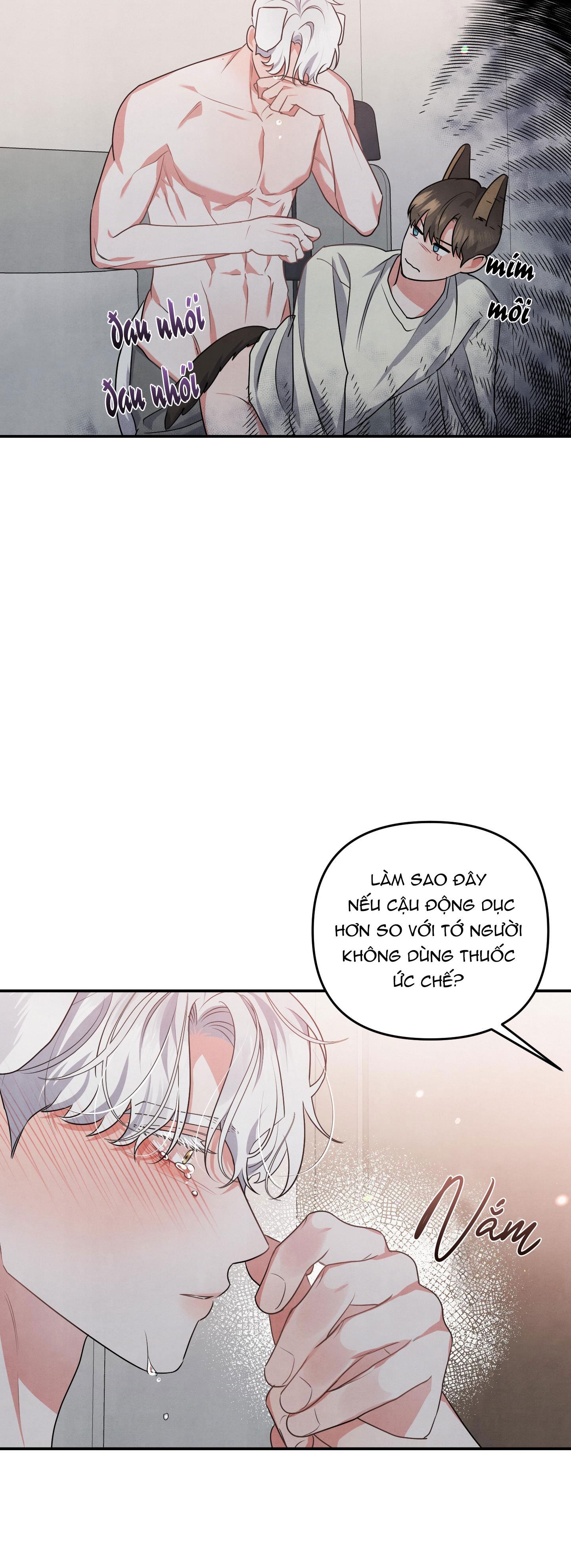 mối quan hệ ngu ngốc chapter 30 32