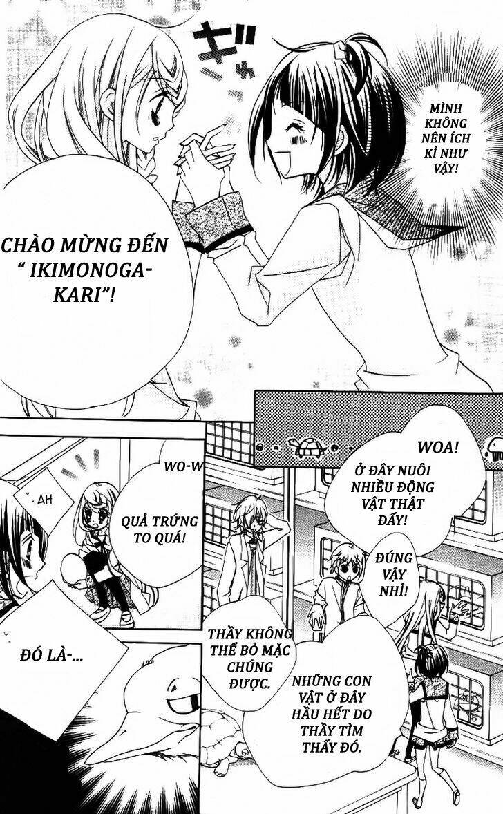 1-nen 5-kumi ikimono gakari chapter 4 13