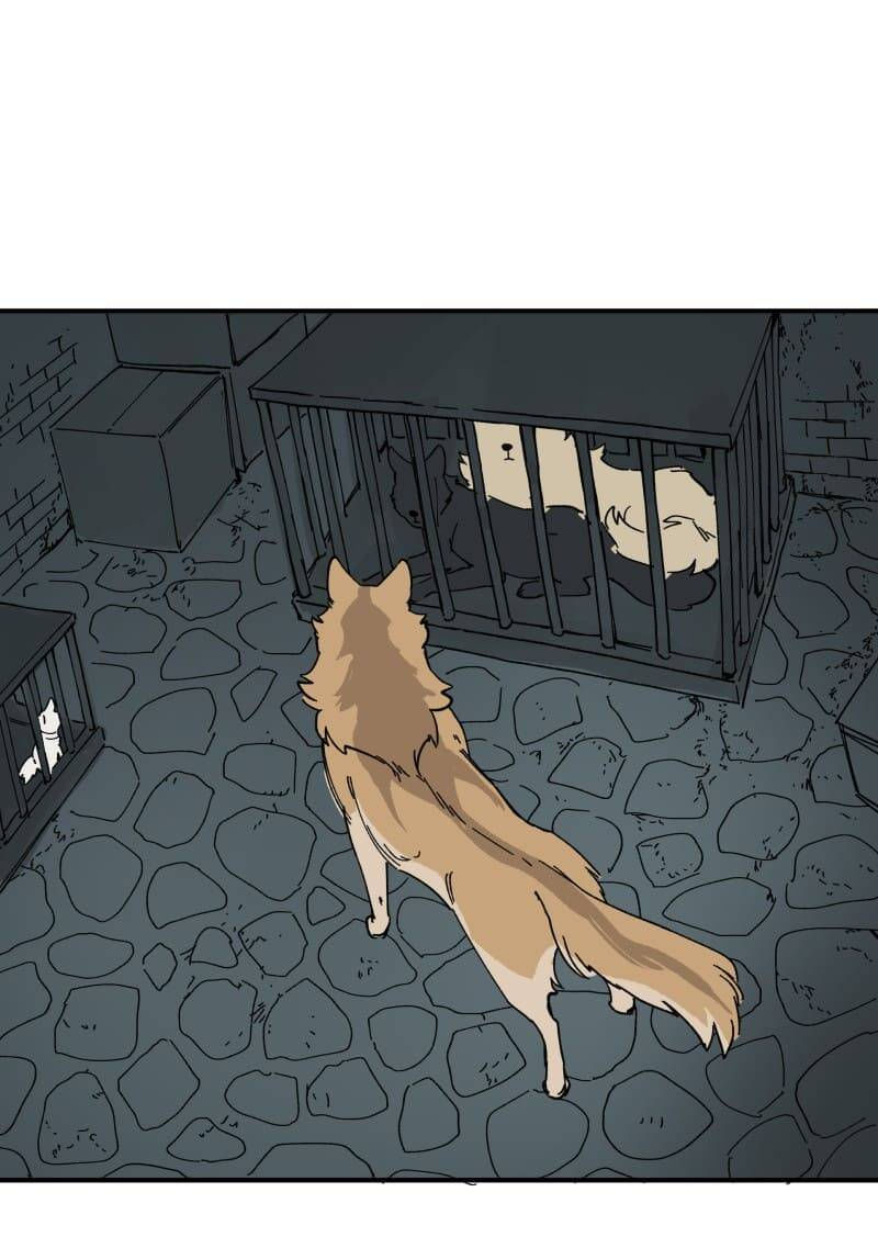 lumine - cội nguồn ánh sáng chapter 143 28