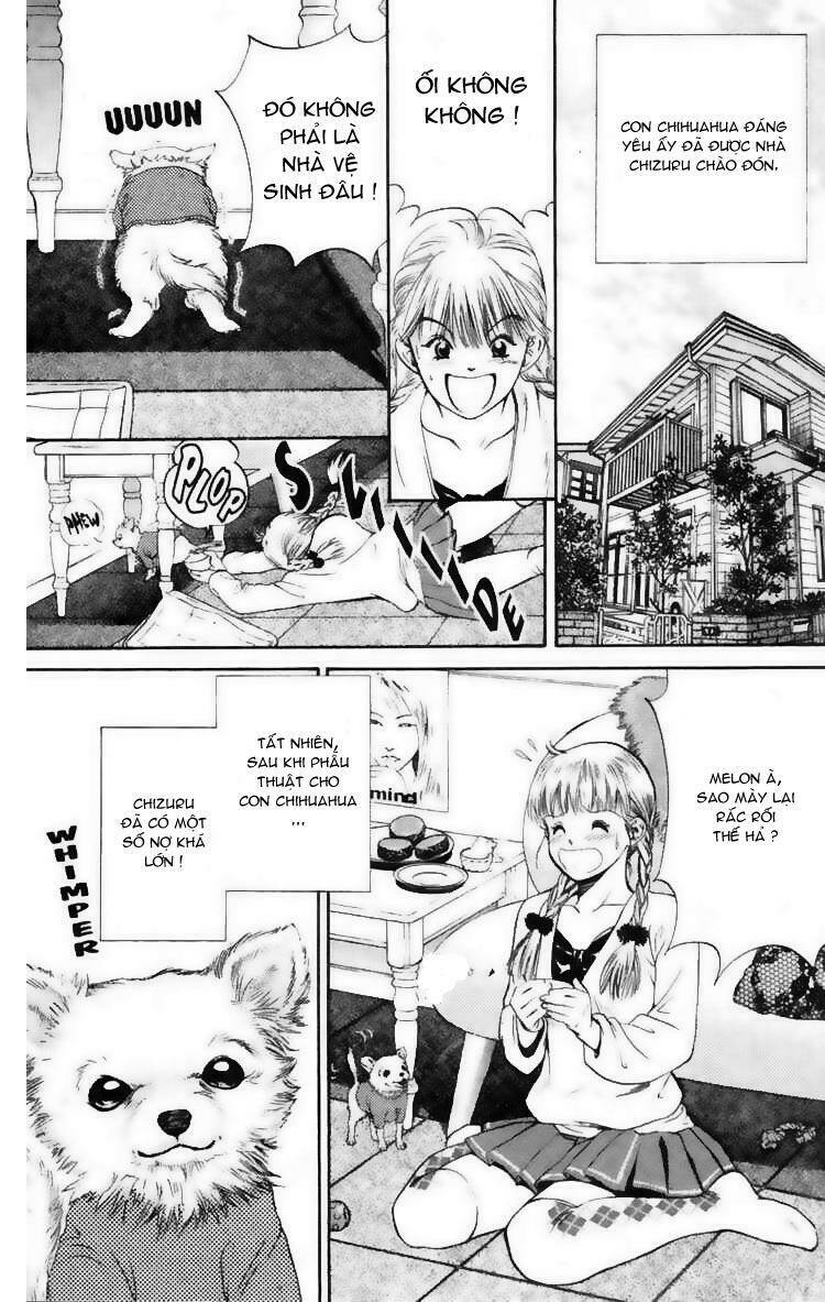 cô nàng yêu chó chapter 7 15