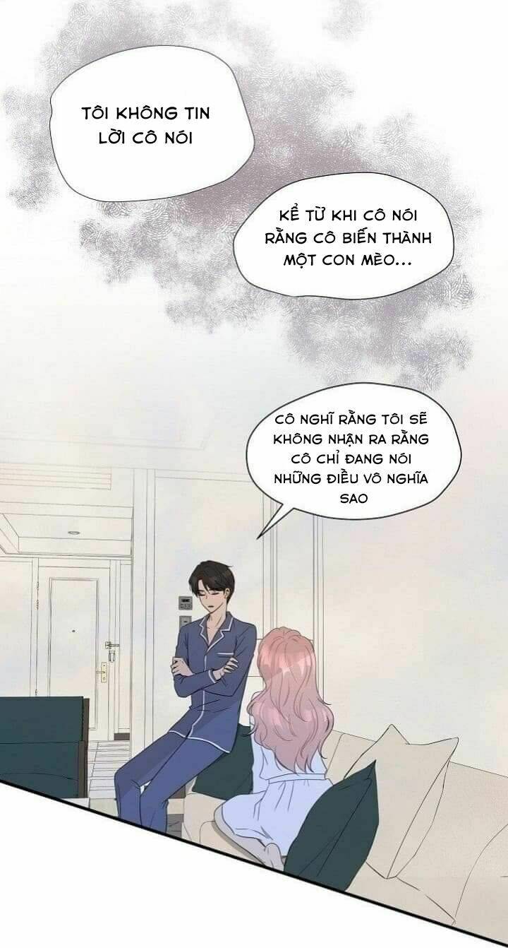 một cuộc sống kỳ lạ chapter 2 28