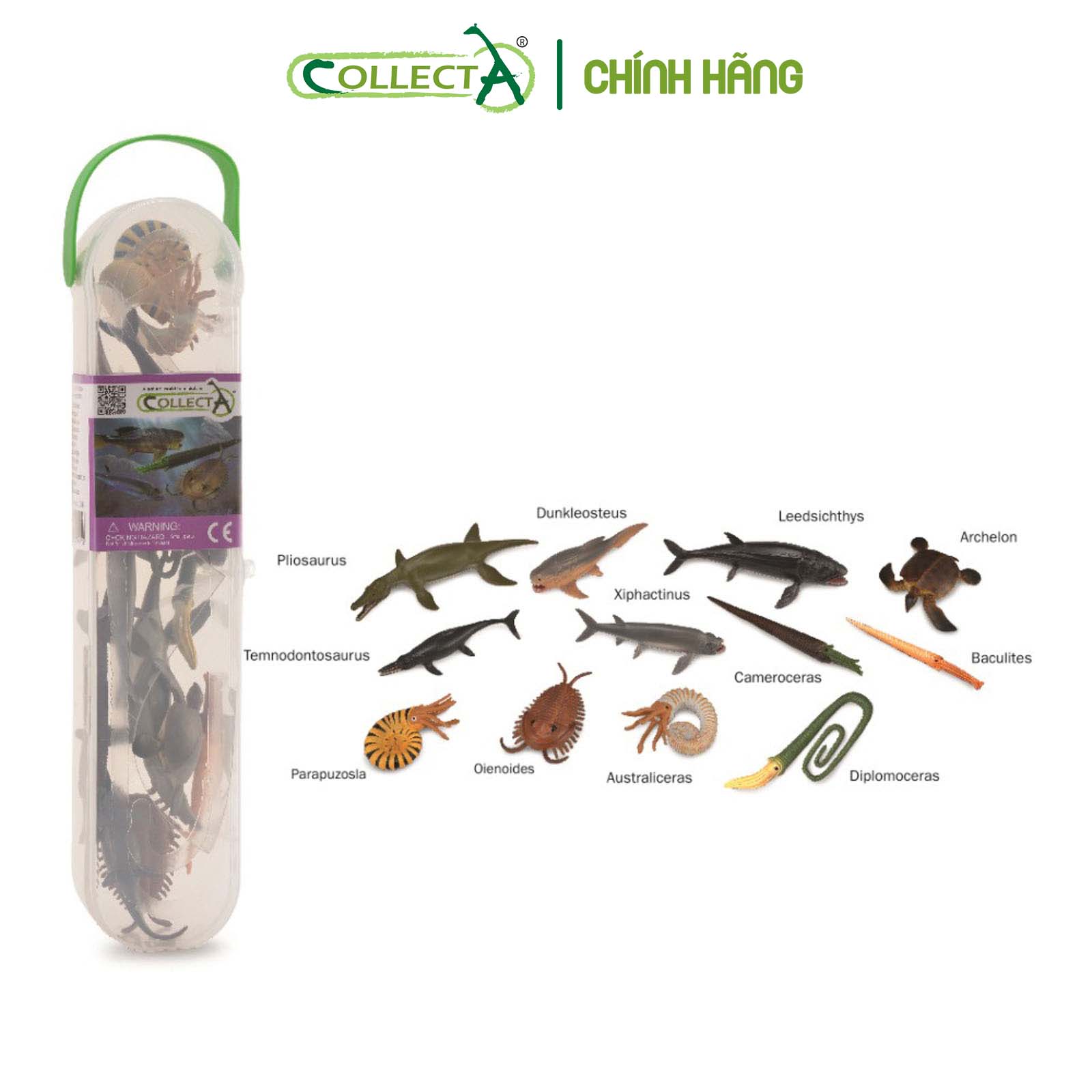 Bộ hình thu nhỏ: Động Vật Biển Tiền Sử - CollectA box of Mini Prehistoric  Marine Animals, hiệu: CollectA, mã HS 9655100[A1104] -  Chất liệu an toàn cho trẻ - Hàng chính hãng