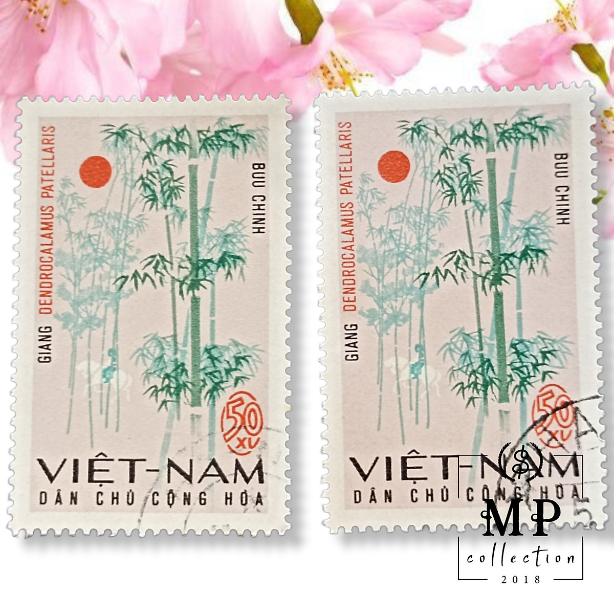 [89]Bộ 6 tem cây tre CTO Việt Nam Dân chủ cộng Hoà