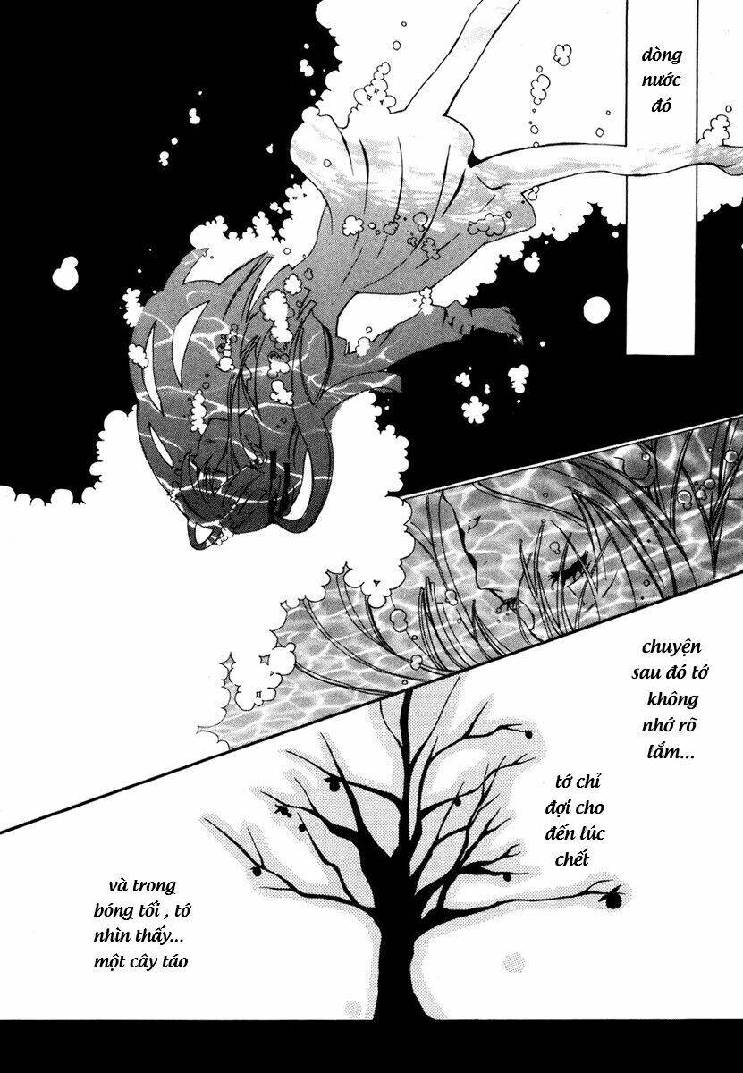 mushi to medama to teddy bear chapter 5 12