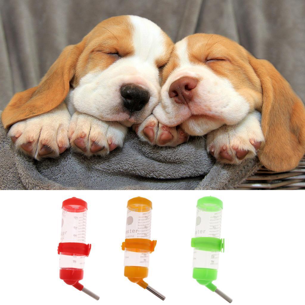 2x 125ml Pet? Drinking Water Bottle Water Feeder Drinking Dispenser
