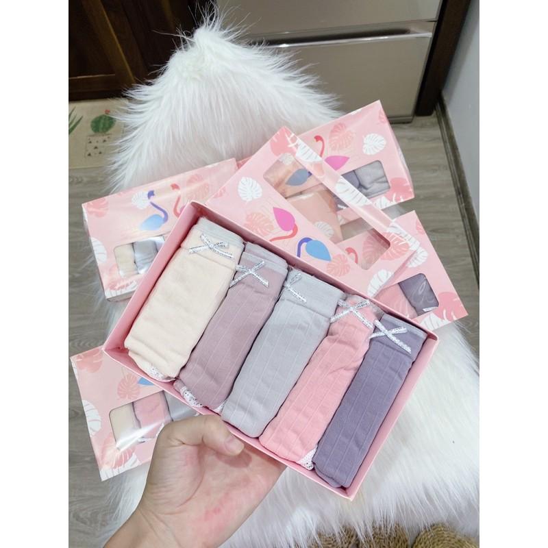 HỘP 5 QUẦN CHIP THIÊN NGA SIÊU RẺ SIÊU ĐẸP