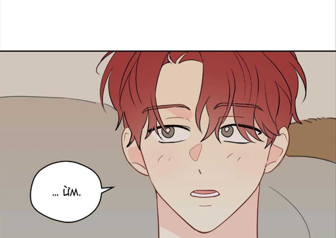 chuyện quái gì với giấc mơ đó vậy chapter 42 42