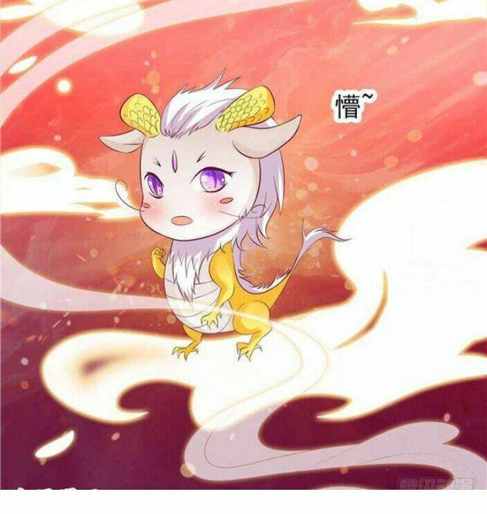 nghịch thiên độc y: long tôn cầu buông ra chapter 5 4