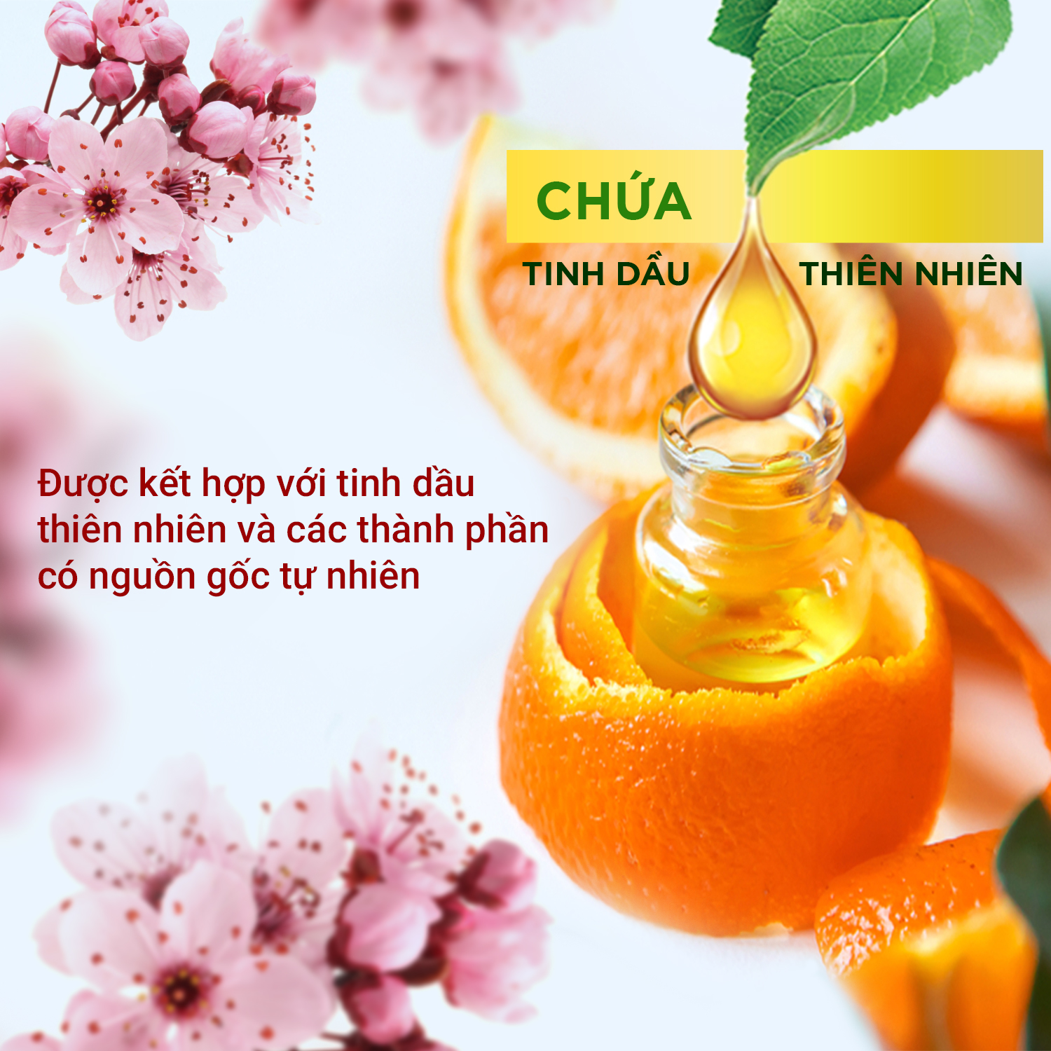 Bộ máy xịt phòng tự động Air Wick Cam quýt + Lõi hoa anh đào, “phủ” đa tầng hương cho không gian sống, 250ml