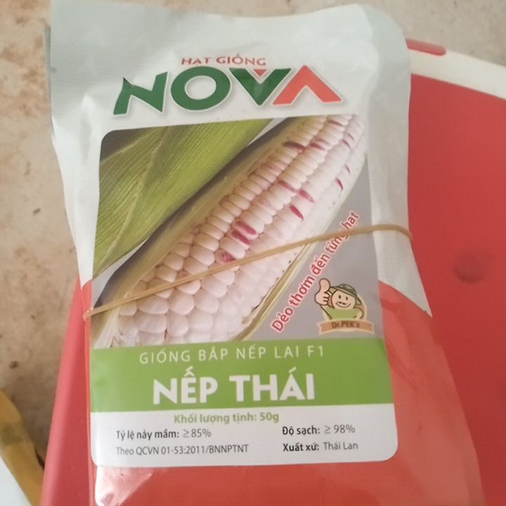 Hạt Giống Ngô Nếp To Tròn Đều Hạt Lai Nova 50gram