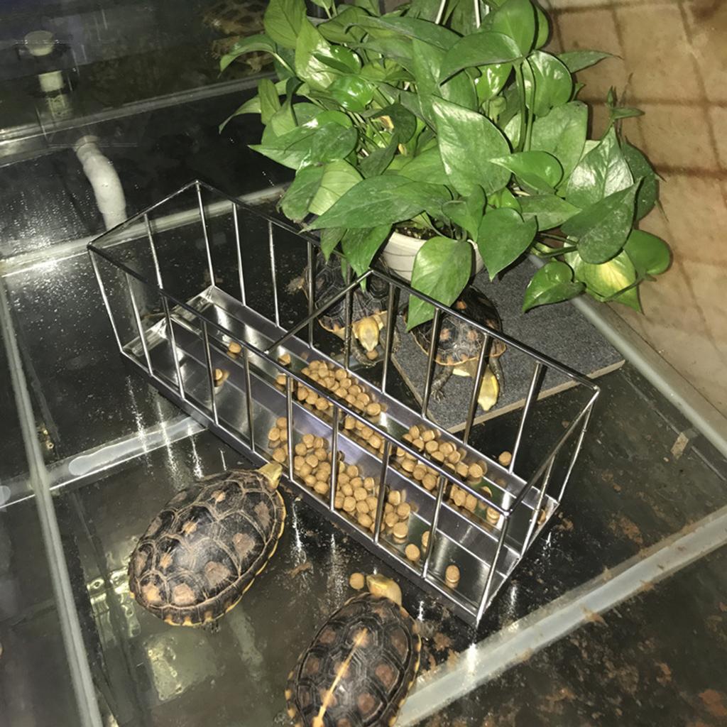 Stainless Steel Tortoise Food Bowl Turtle Food Dispenser Feeding Tools