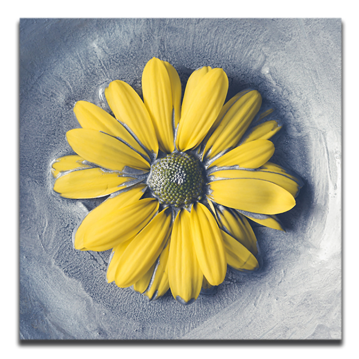 Tranh Canvas Hoa Hướng Dương - Khung Hình Phạm Gia PG154