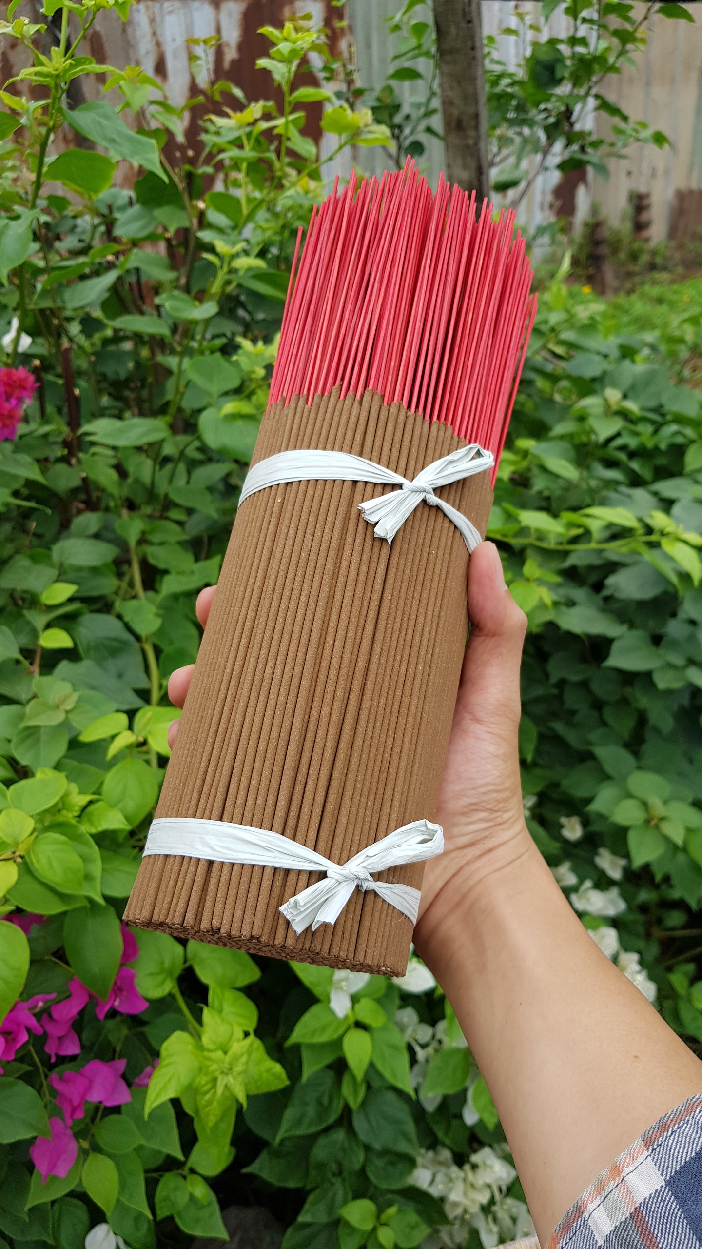 NHANG QUẾ - THƠM NHẸ DỊU - An Lộc Phát