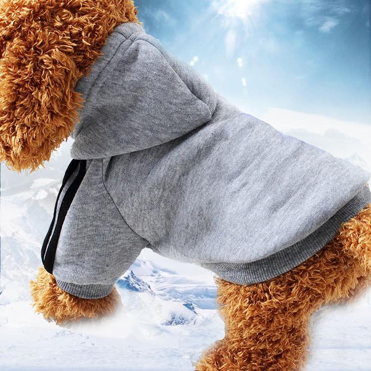 Áo nỉ hoodie nhỏ dành cho thú cưng, mẫu mã đa dạng, chất liệu ấm áp, bền đẹp AT10-9 (inbox chọn mẫu)