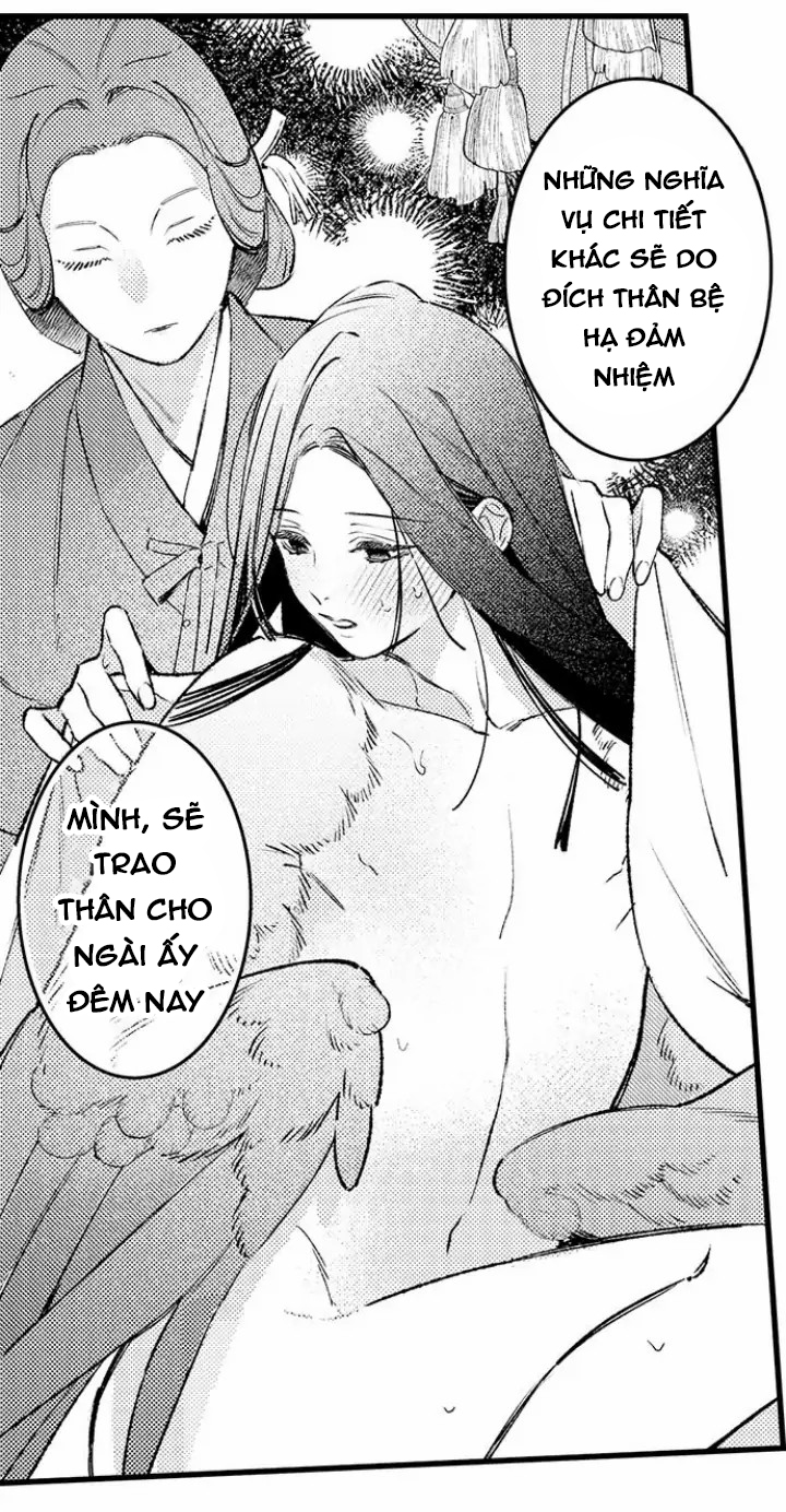 điểu thượng minh hoa chapter 3.1 4