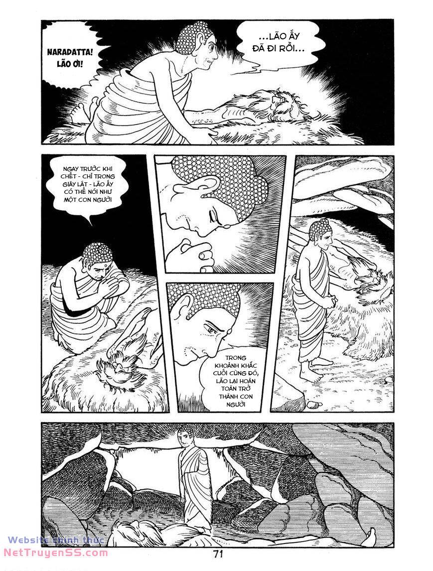 buddha - truyền thuyết đức phật chapter 62 21