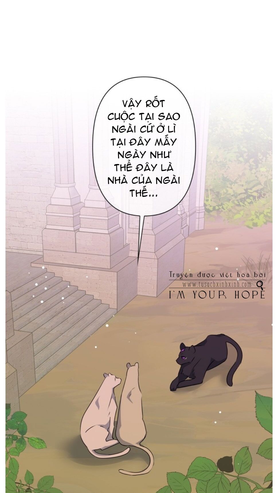 tôi đang nuôi dưỡng một con quái thú chapter 43 3