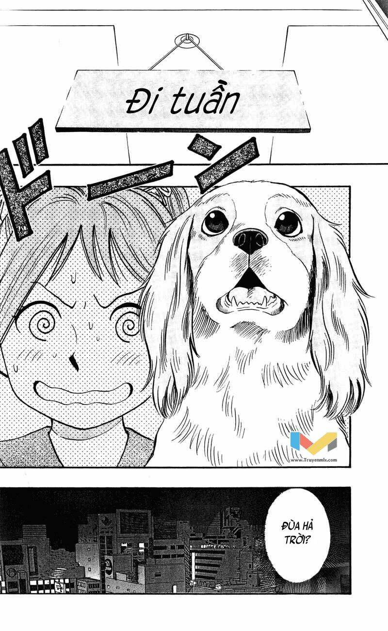 animal sense chapter 7 9