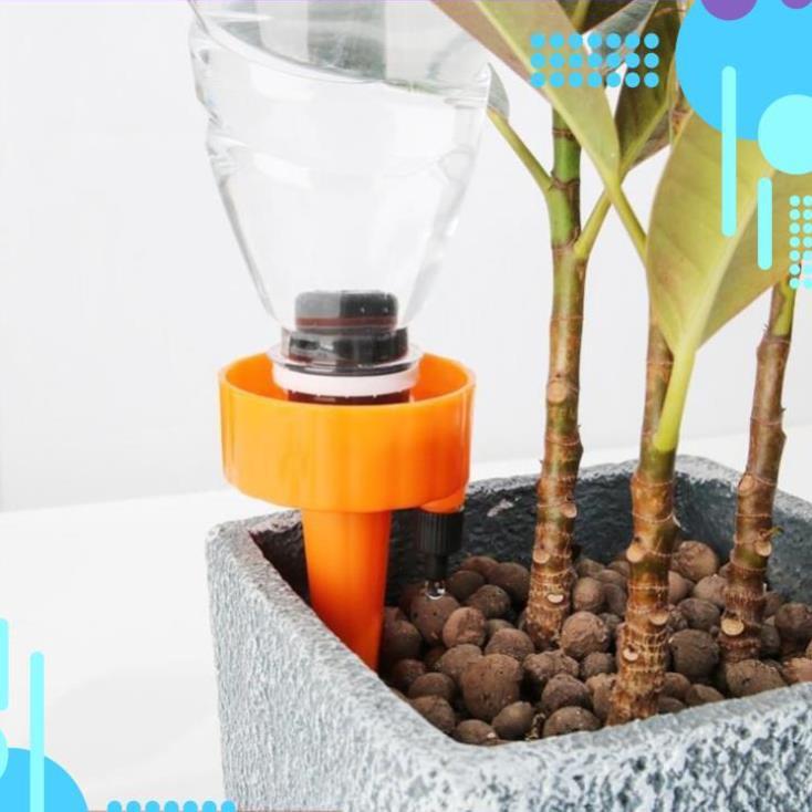 Set 12 que cắm tưới cây nhỏ giọt 206801
