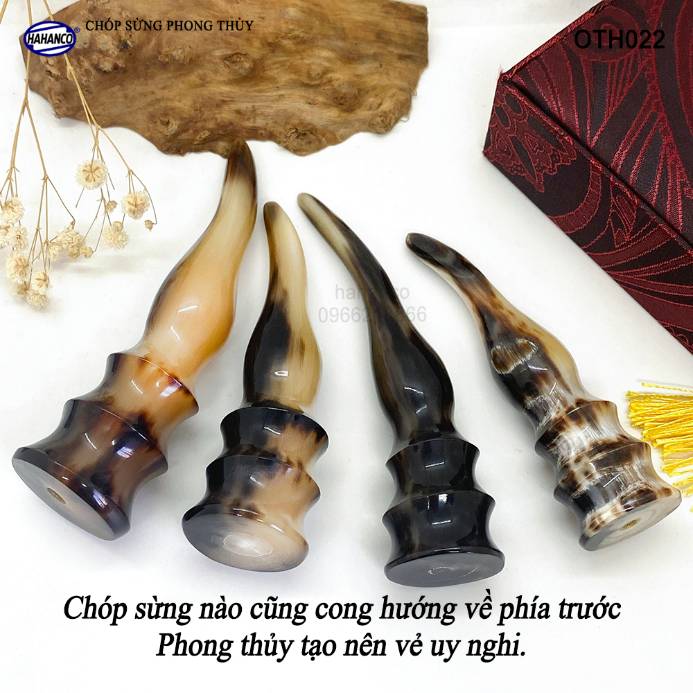 Chóp sừng bò Châu Phi vật phẩm phong thủy (OTH022) giàu sang/phú quý/may mắn - Bày bàn làm việc hoặc trong nhà