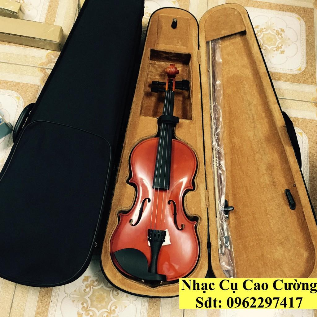 VIOLIN CHUYÊN NGHIỆP 4/4