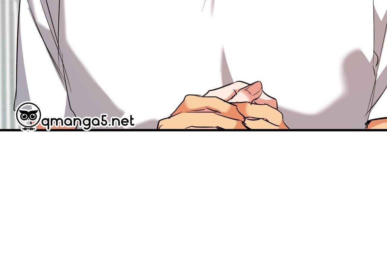 những chú thỏ của hapypy chapter 61 137