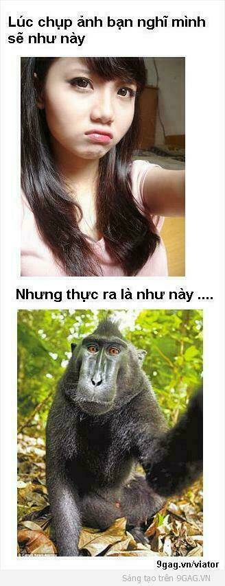 rage comic-troll chapter 71 15