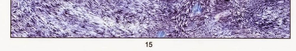 tuyệt thế vô song 2 chapter 64 28