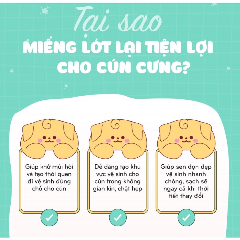 TODAY'S PADS  - Miếng lót vệ sinh cho chó, loại 20/50/100 miếng.