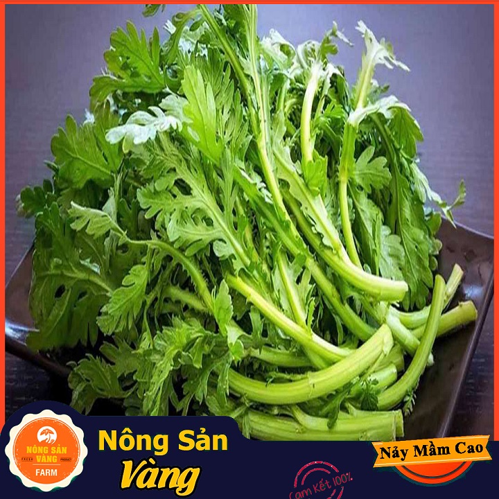 Hạt giống Rau Cúc Té , Rau Tần Ô ( Gói 20 Gram ) - Nông Sản Vàng