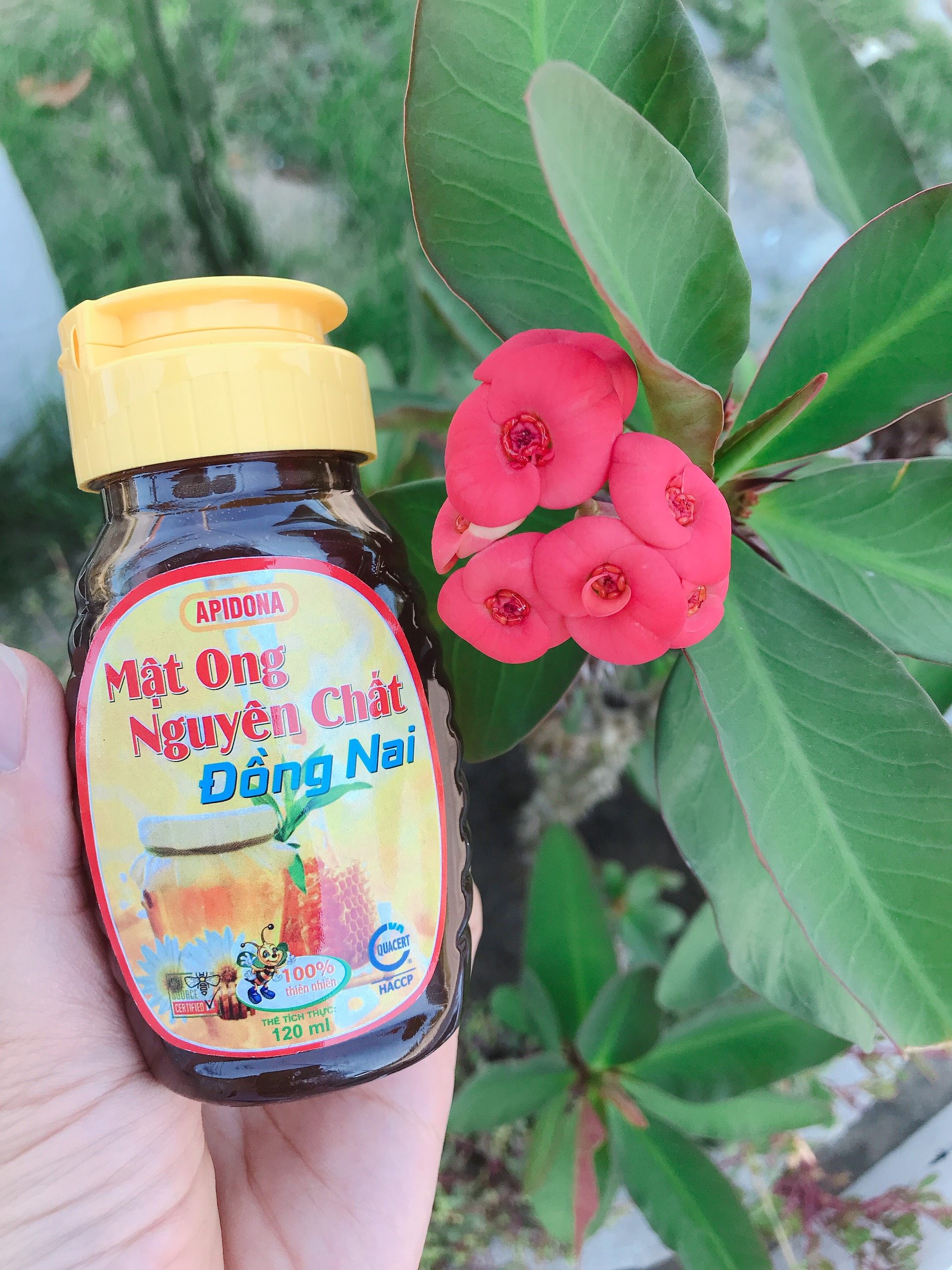 COMBO 3 LỌ MẬT ONG NGUYÊN CHẤT ĐỒNG NAI 120ML