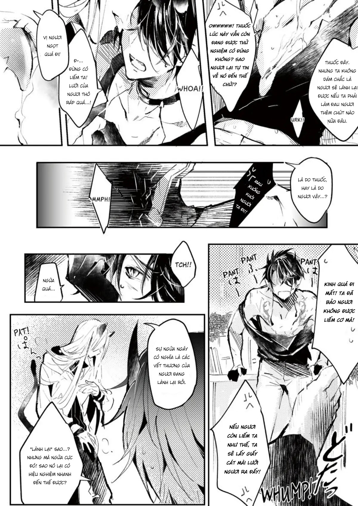 thảo dược của bác sĩ mèo đều có giá phải trả chapter 0 15