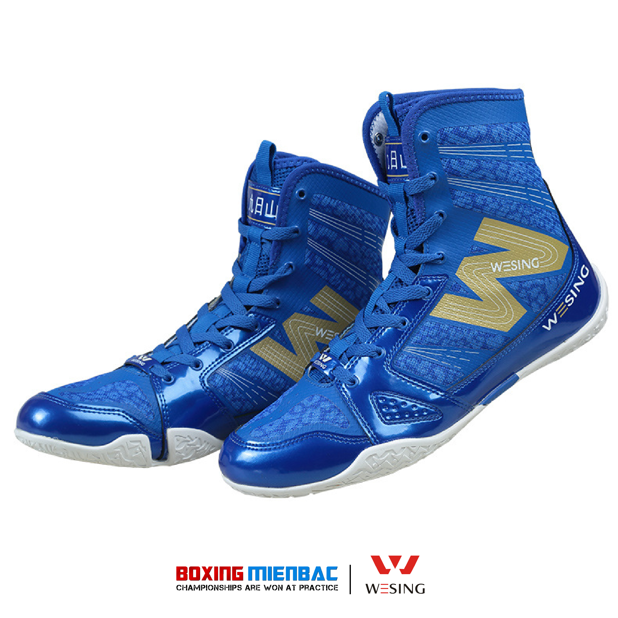 Giày Boxing Wesing - Boxing Shoes Wesing/ Màu Xanh