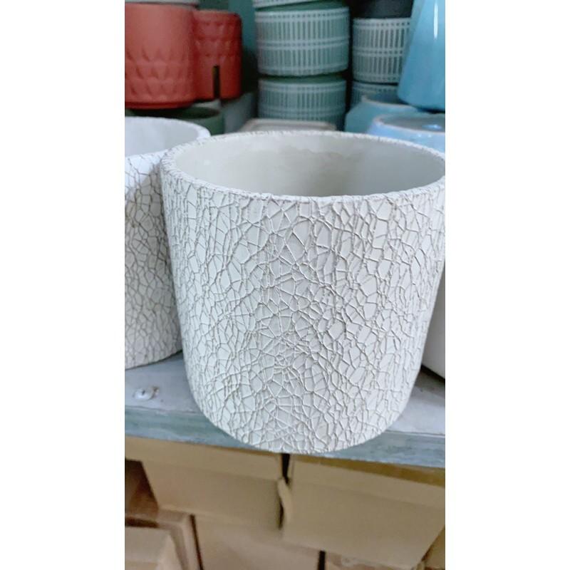 Chậu Trồng Cây 11x11Cm