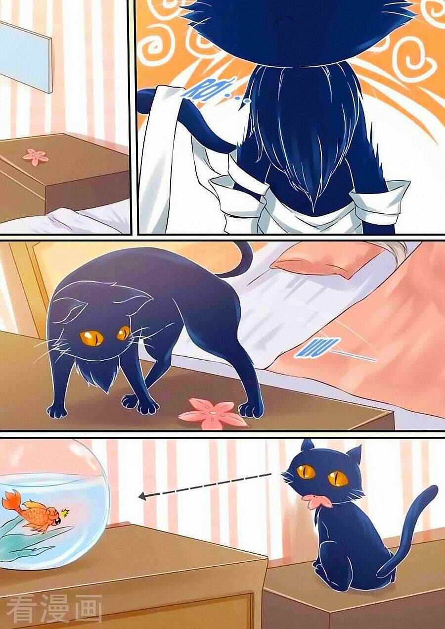 luyến ái sinh tử bộ chapter 50 2