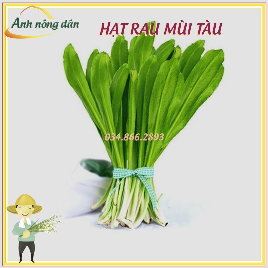 Gói 5gr Hạt giống rau ngò gai dễ chăm sóc, trồng quanh năm