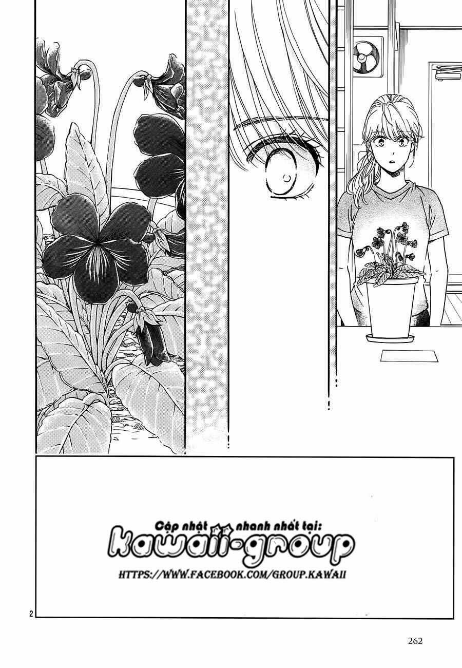 sumika sumire chapter 35 3