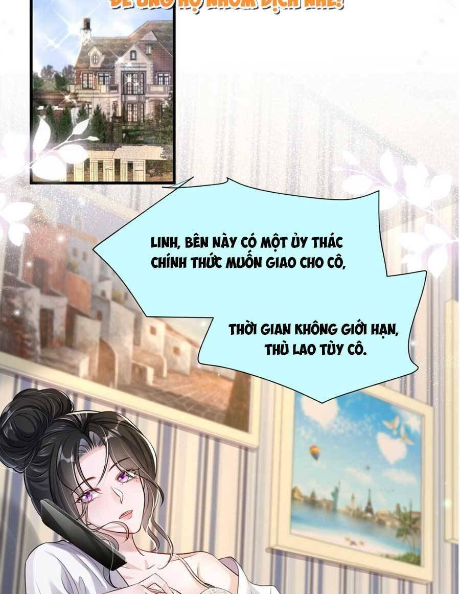 Vợ Tôi Là Boss Ngầm Đầy Quyền Lực Chapter 47 - Trang 14