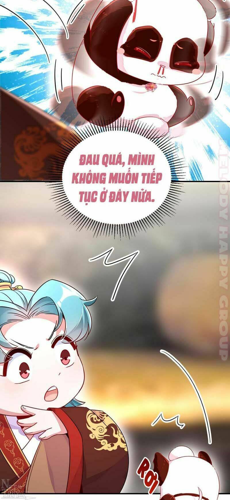 thiên thần gấu trúc muốn được ôm chapter 51 12