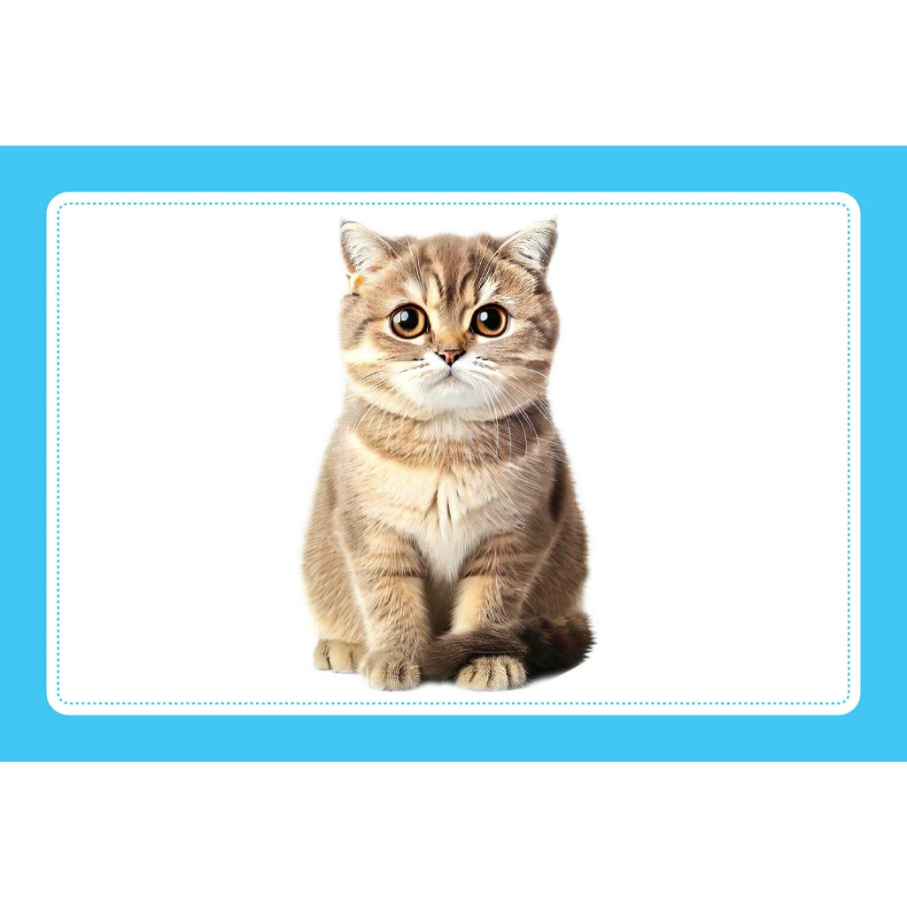 Bộ Thẻ Học Thông Minh Cho Bé - Flashcard Song Ngữ Việt - Anh - Bộ thẻ Vật nuôi - Domestic Animals - Khổ 10x15cm - Trí Vi