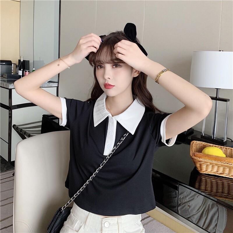 Áo croptop rộng cổ trụ phối màu basic - AO053