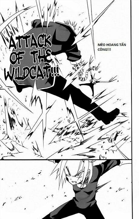 tripeace chapter 27 29