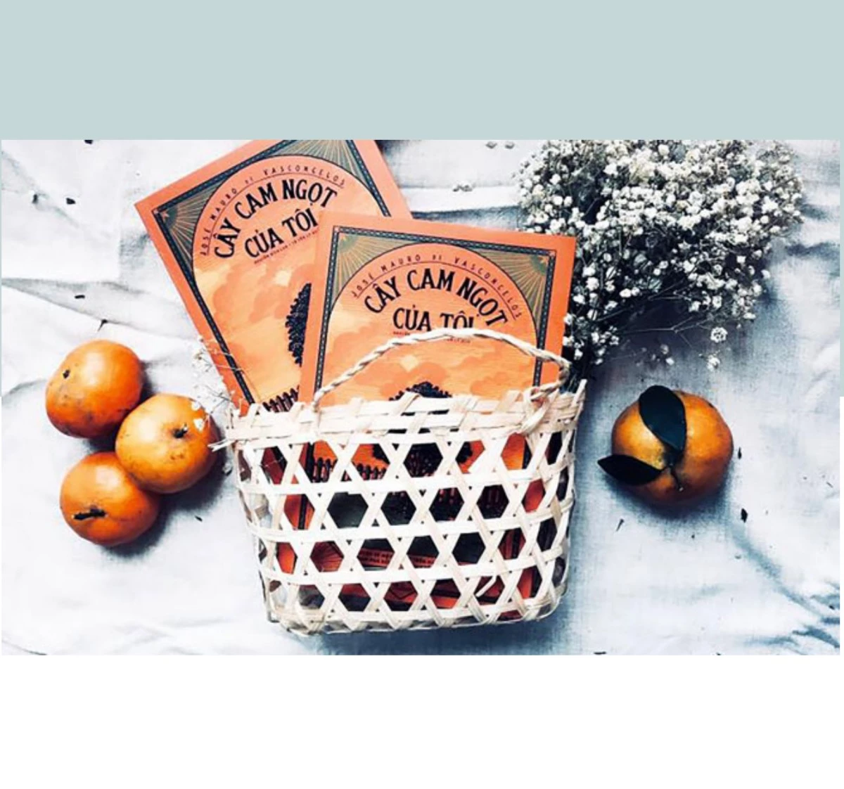 Sách - Cây Cam Ngọt Của Tôi