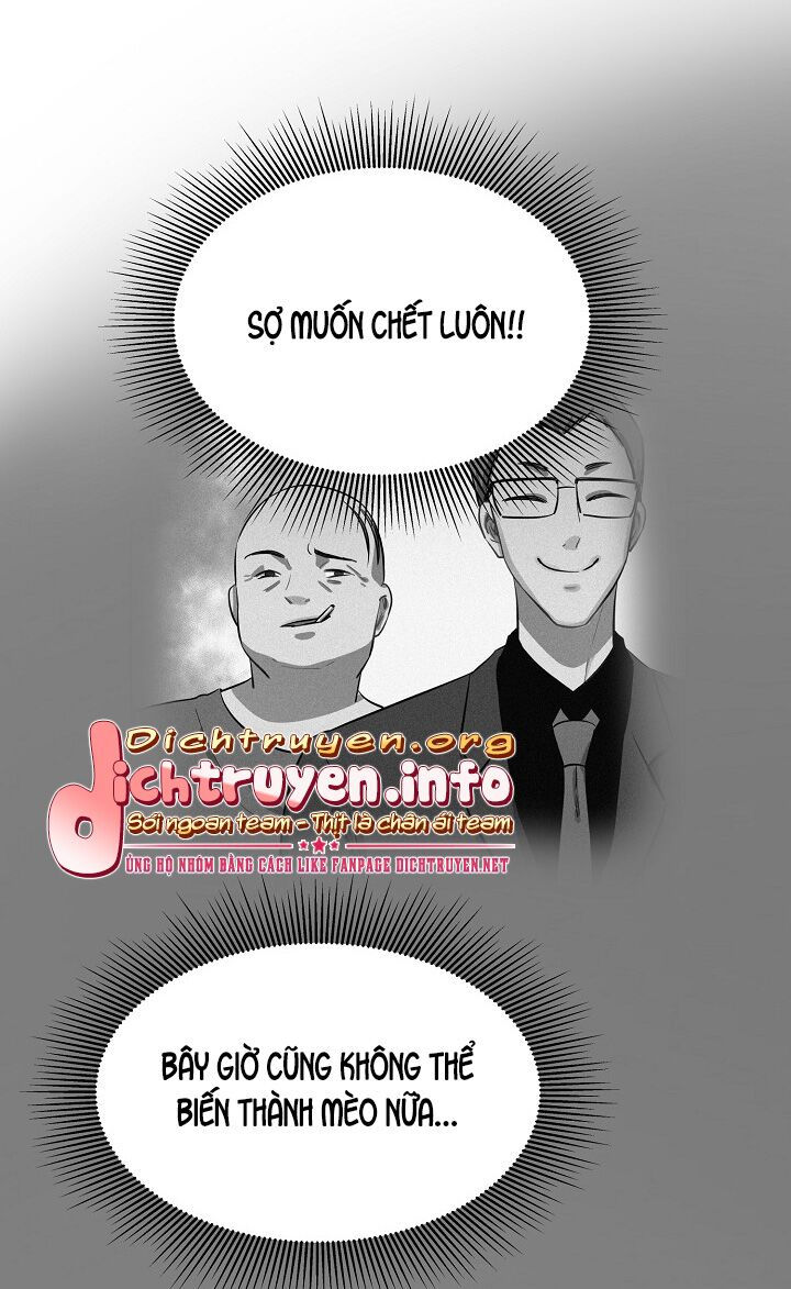 cuộc sống kỳ thú chapter 51 5