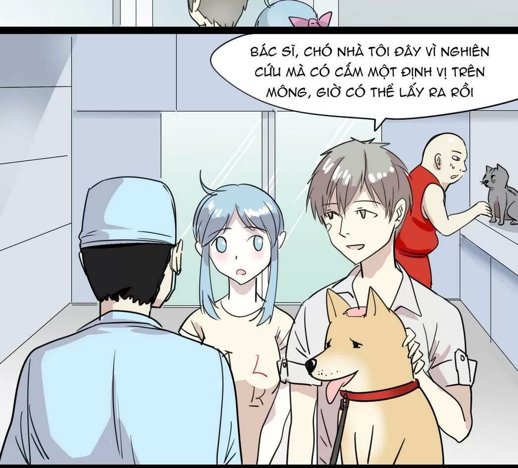 một con chó chapter 55 6