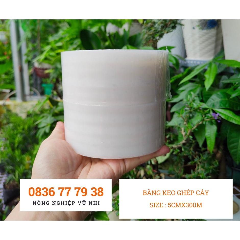 Băng keo ghép cây tự dính, tự hủy size 5cmx300m - hatgiong24h