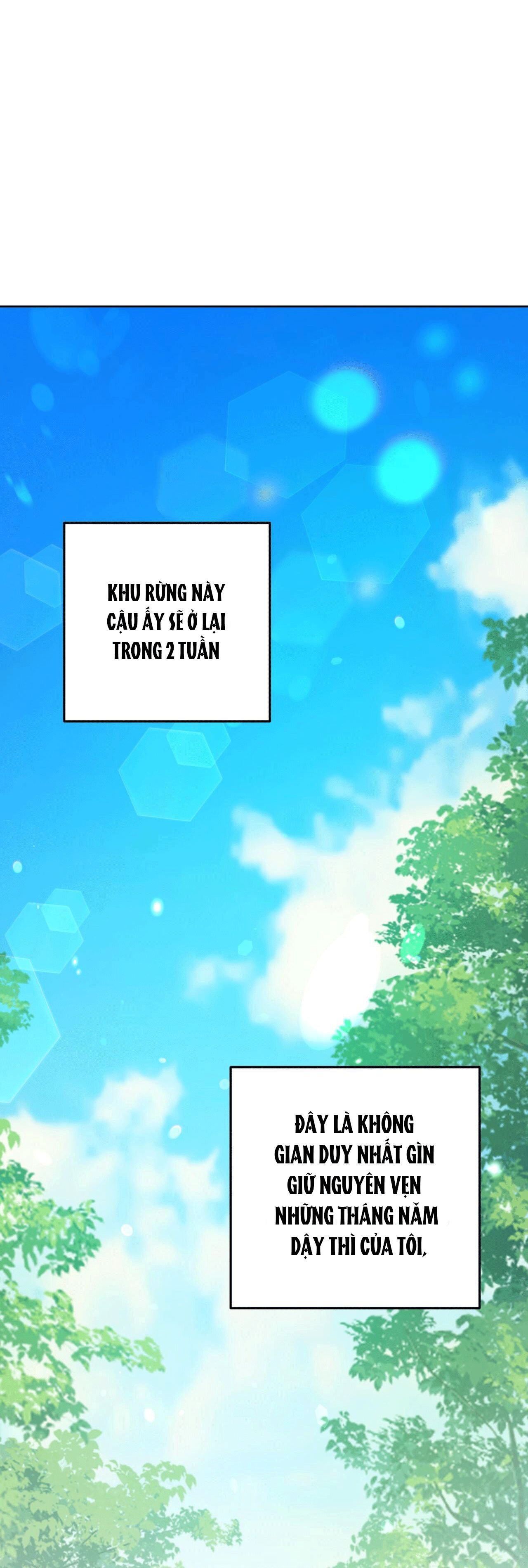 cánh rừng bình lặng chapter 1 17