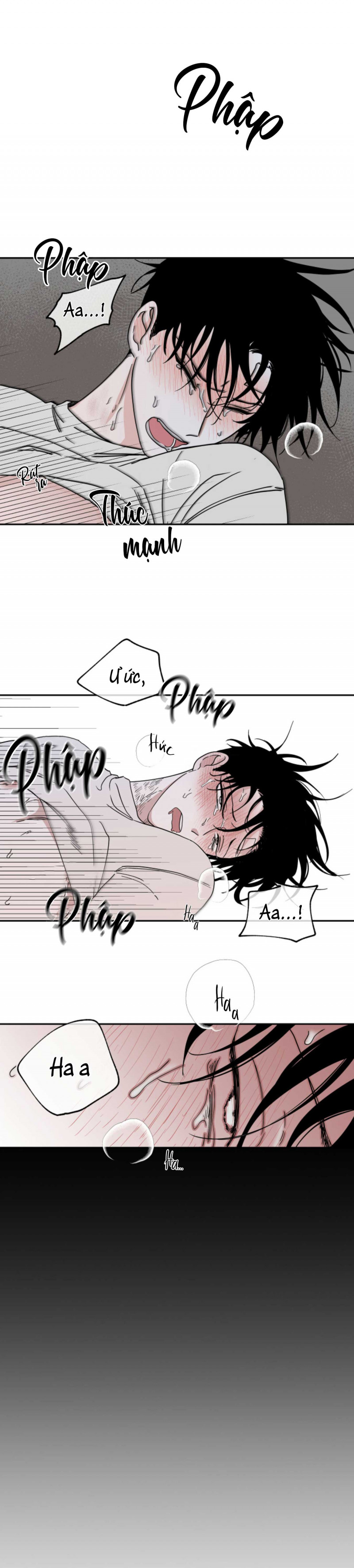 đêm bên bờ biển chapter 13 7